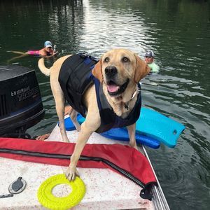 Meet your Posher, Zach